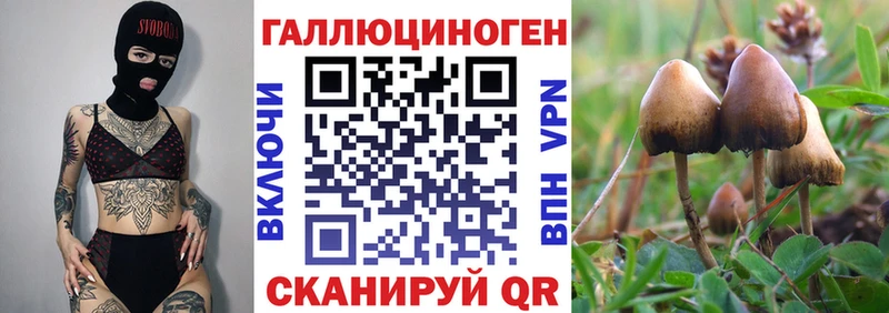 хочу наркоту  Севастополь  Галлюциногенные грибы Cubensis 